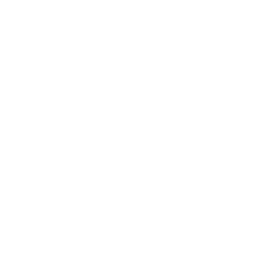 The Village Voice logo